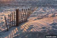 Thanksgiving in Paradise