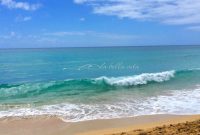 Monday Morning Musings From Snow to Sea