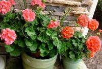 La Bella Vita: A Spring Garden Reverie