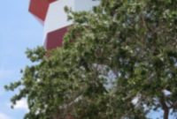 Hilton Head Island: A Week of Coastal Beauty and Gourmet Delights