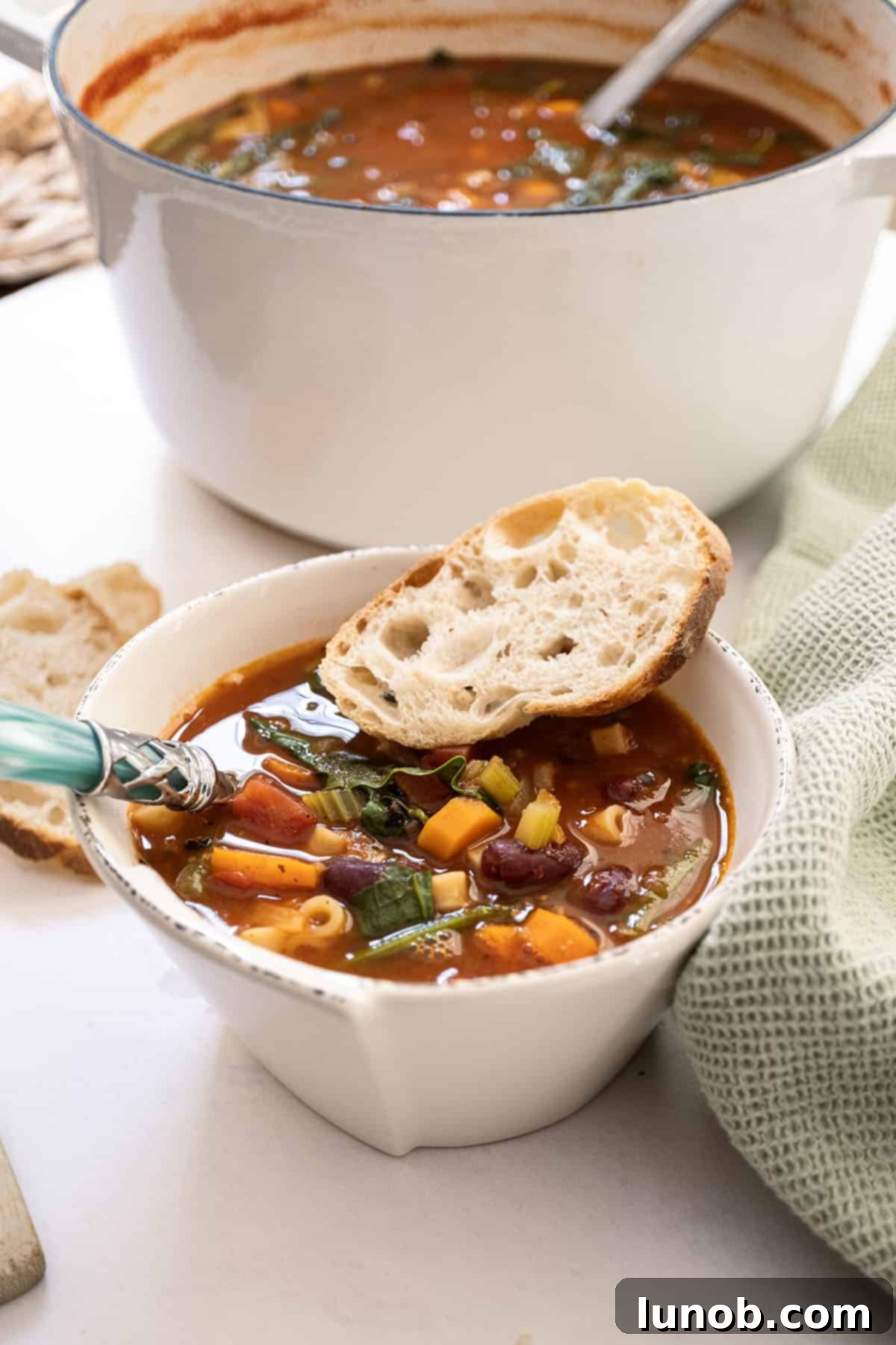 Rustic Italian Minestrone 2 A steaming bowl of classic Italian minestrone soup, garnished with fresh basil and Parmesan cheese, with a piece of crusty Italian bread on the side.