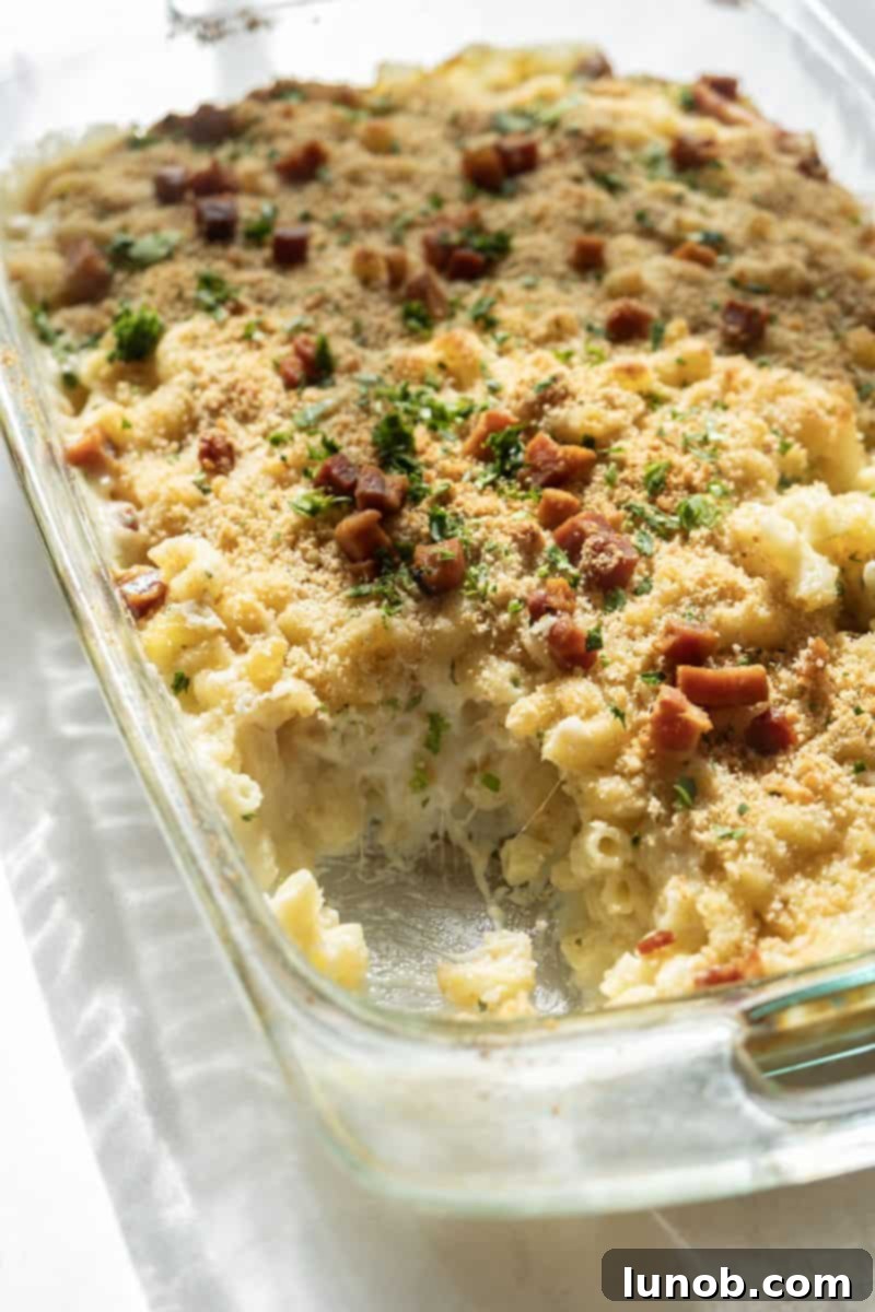 Italian Comfort Mac and Cheese 2 Close up of cross section of baked mac and cheese, showing multiple layers of melted cheese and pasta