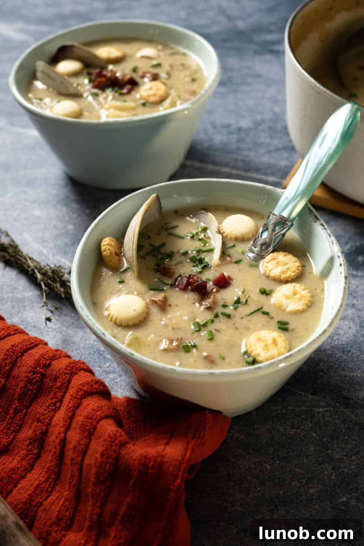 Velvet Clam Delight 2 New England clam chowder in a bowl garnished with chives and oyster crackers, with a spoon resting in it.