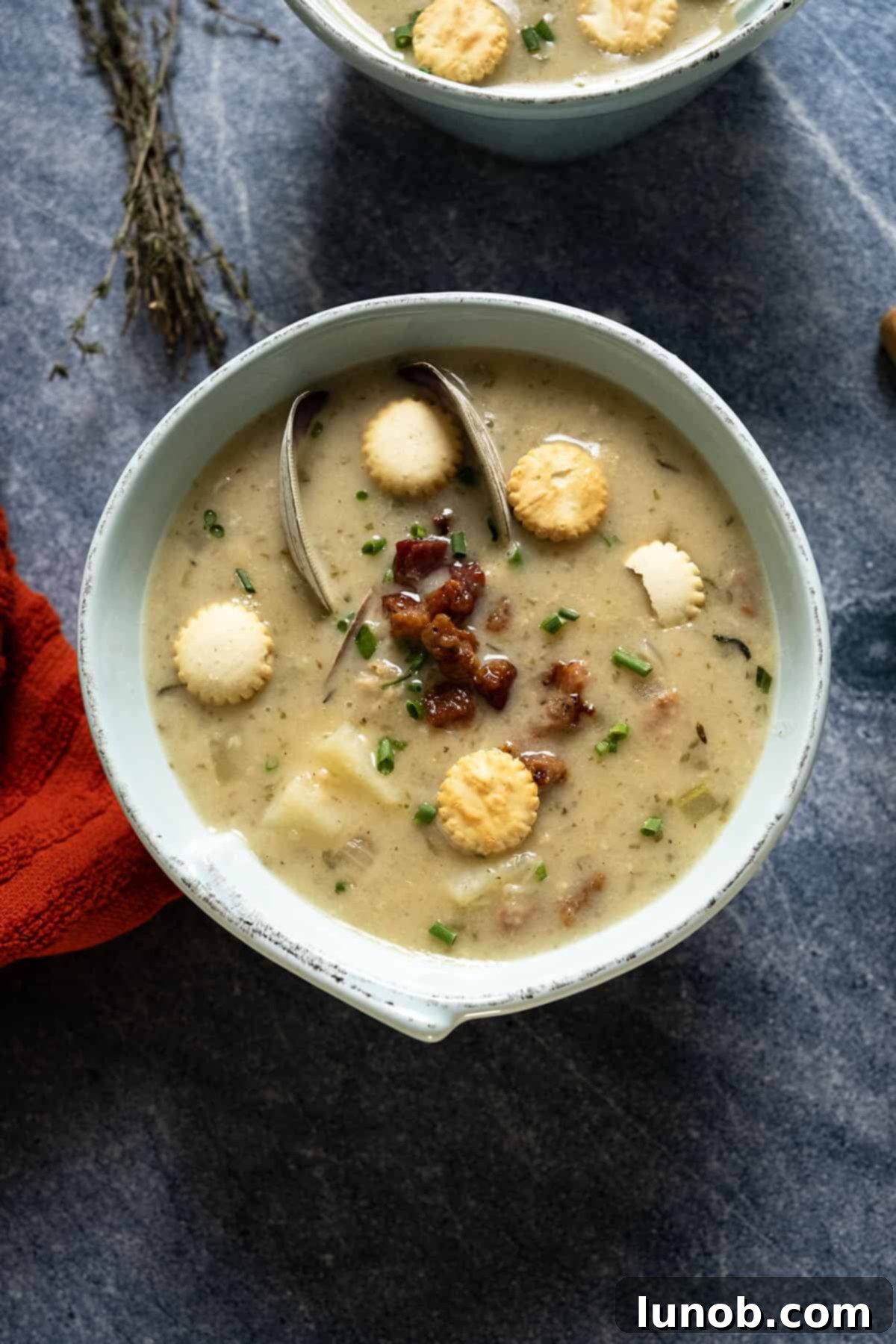 Velvet Clam Delight 12 A beautiful bowl of New England clam chowder garnished with chives and oyster crackers, ready to be enjoyed.