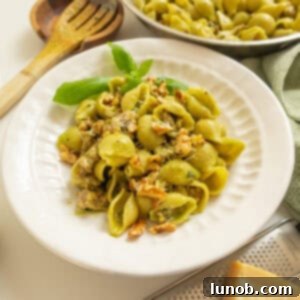 Kale and walnut pesto with shell pasta in a bowl.