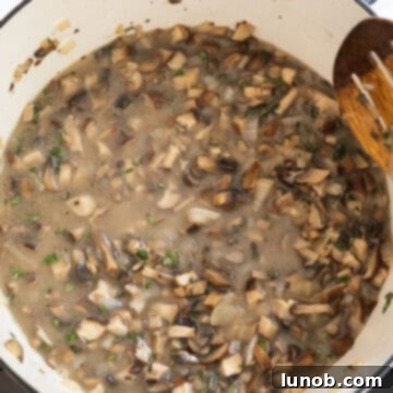 Chicken broth added to the soup mixture to simmer. 