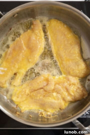 Gourmet Chicken Francese 6 Chicken cutlets frying in a large saucepan with shimmering olive oil.