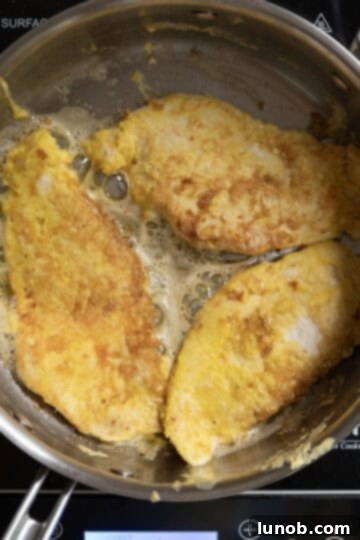 Gourmet Chicken Francese 7 Lightly fried chicken cutlets with golden brown edges resting on a paper towel-lined plate.