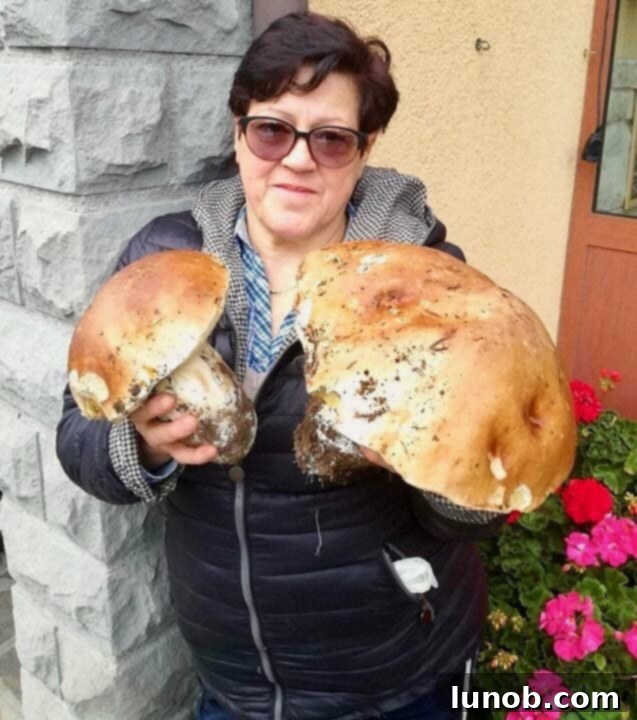 Golden Fontina Polenta, Crowned with Earthy Porcini 7 img 11691 13