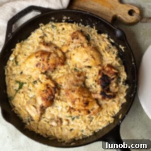One-Pan Lemon Chicken Orzo Skillet 11 Charred chicken thighs over a bed of creamy orzo.