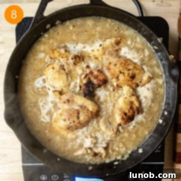 One-Pan Lemon Chicken Orzo Skillet 8 Chicken broth and seared chicken thighs returned to the pan with orzo for simmering, covered.