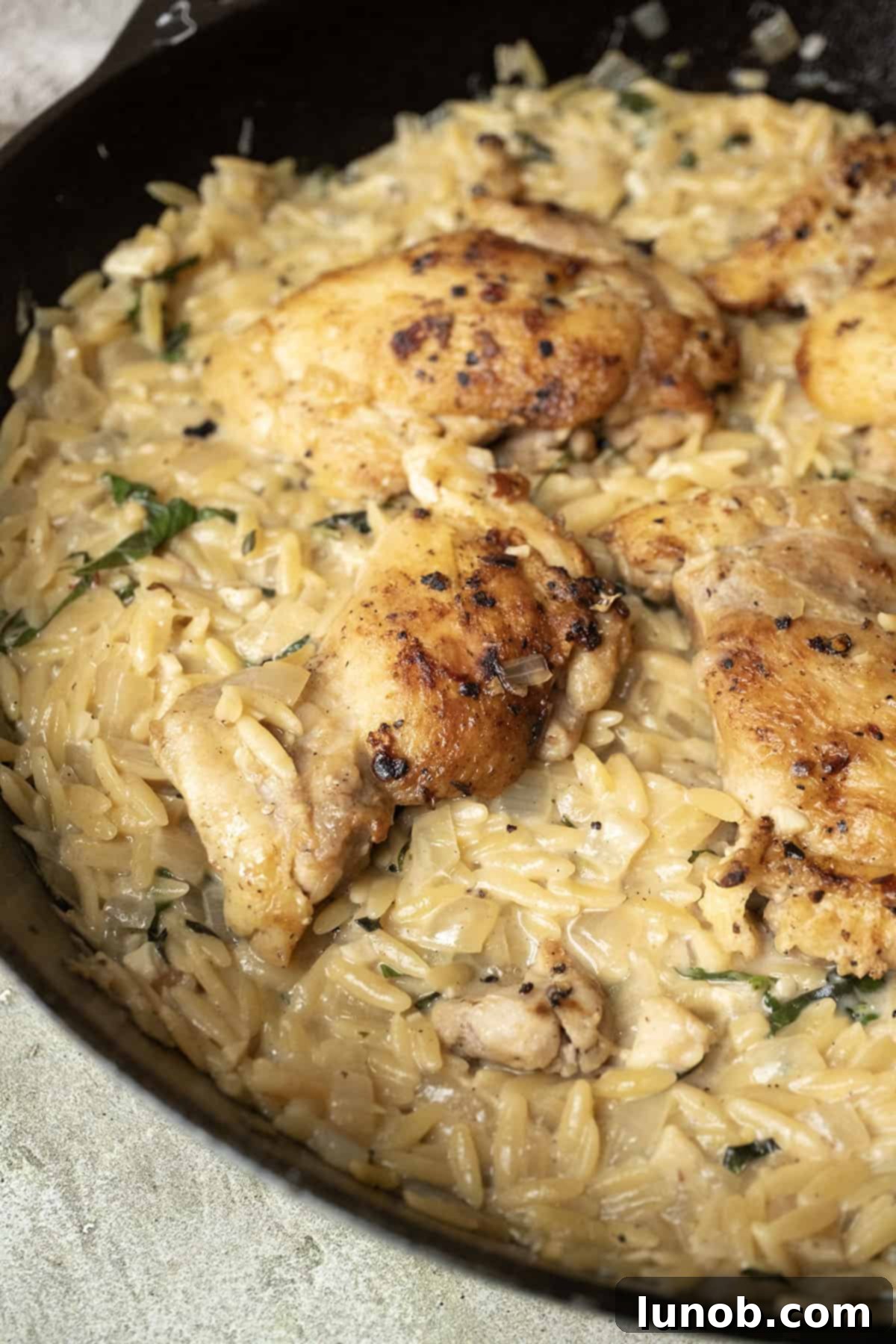 One-Pan Lemon Chicken Orzo Skillet 10 Plated Cast Iron Lemon Chicken Orzo, showcasing charred chicken thighs over creamy orzo pasta, garnished with fresh basil.