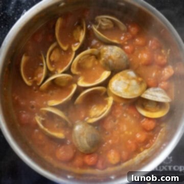 Opened clams mixed into the red clam sauce, ready for pasta.