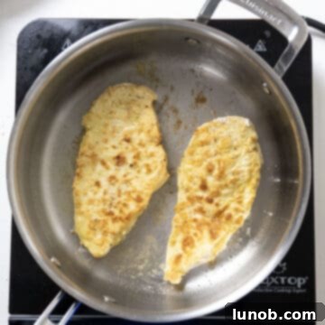 Ultimate Chicken Pizzaiola 6 Chicken breast gently frying to a beautiful golden brown in a large saucepan, creating a crispy exterior.