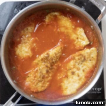Ultimate Chicken Pizzaiola 10 Par-fried chicken cutlets added carefully onto the simmering tomato and pepper sauce in the pan, ready to braise.