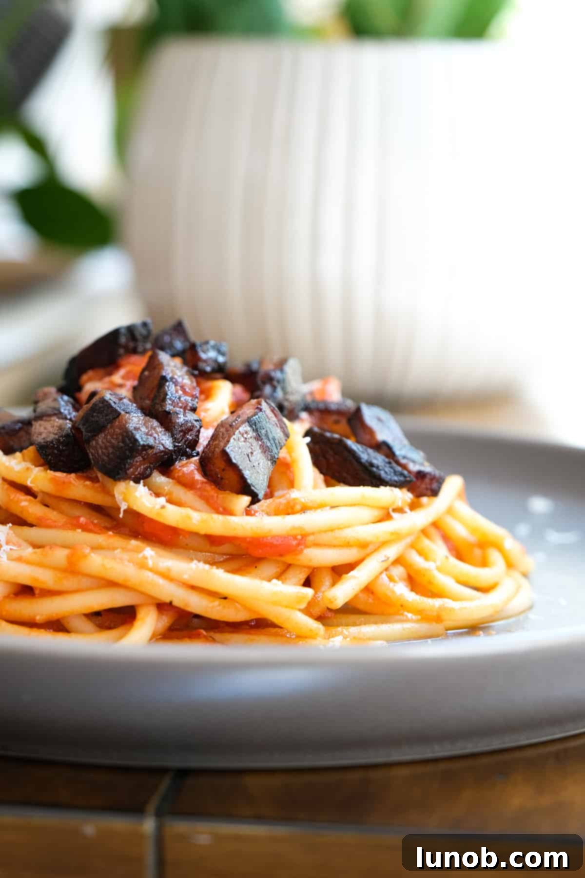 Delicious plate of Bucatini Amatriciana ready to be served