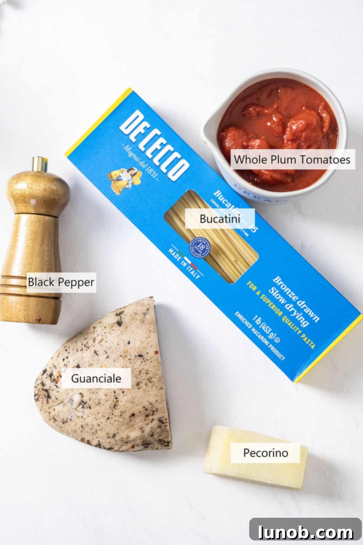 Fresh ingredients for Bucatini Amatriciana: guanciale, pecorino romano, black pepper, peeled plum tomatoes, and bucatini pasta.