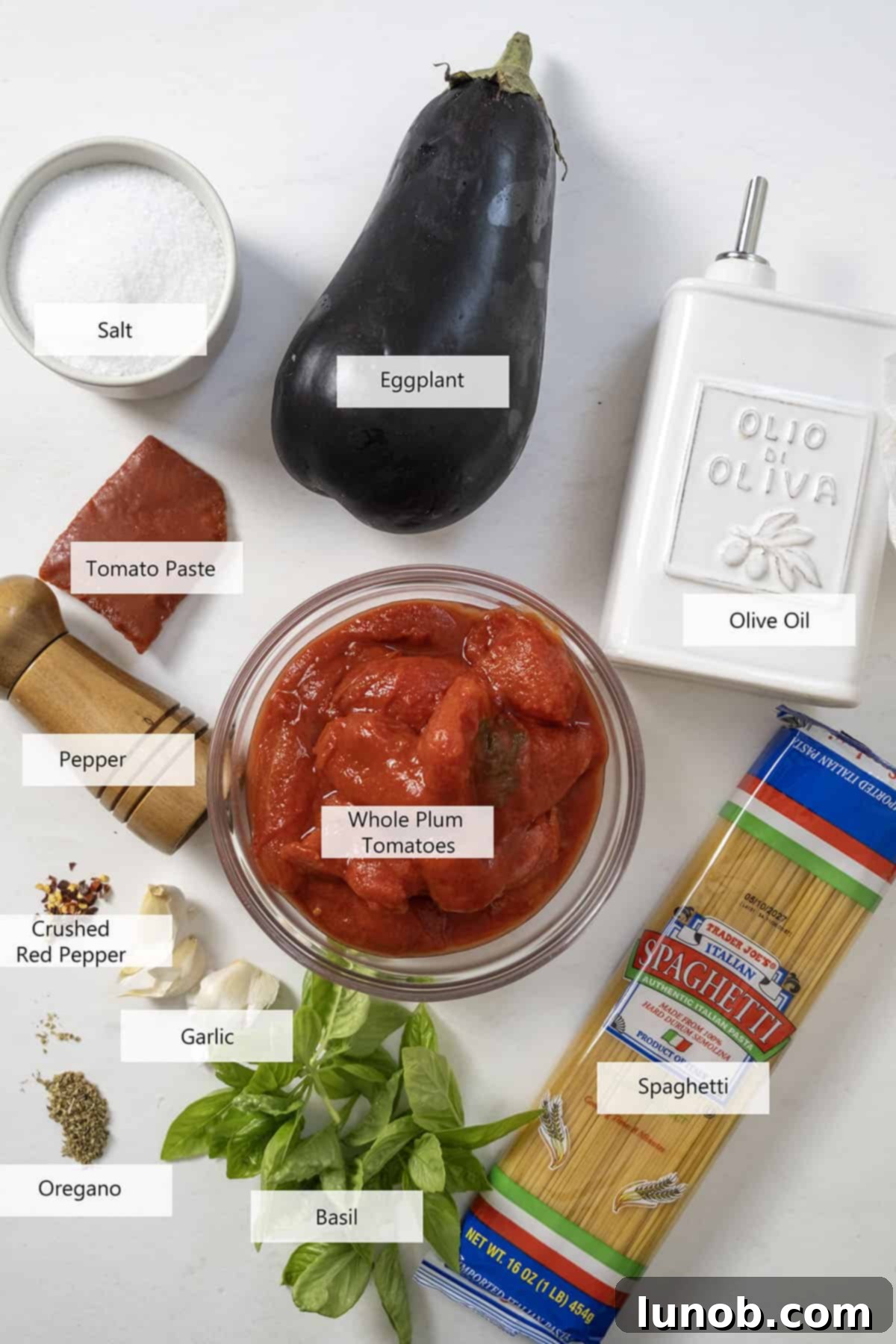 A collection of fresh ingredients laid out, including whole plum tomatoes, a large eggplant, fresh basil, garlic, and various Italian spices, ready for cooking Pasta alla Norma.