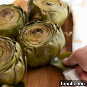 Tender Steamed Artichokes Made Simple 8 A beautifully plated steamed artichoke, with a focus on its natural beauty.