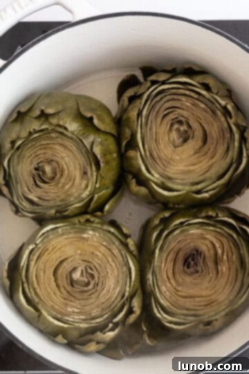 Tender Steamed Artichokes Made Simple 6 Close-up of perfectly steamed artichokes in a pot, ready to serve.