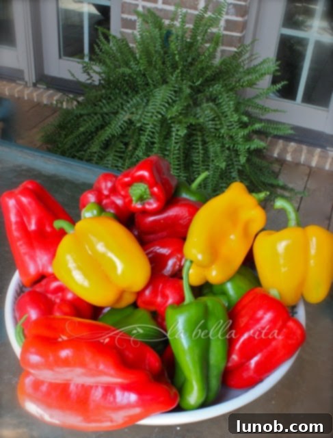 Perfectly Roasted Red Peppers: Freeze for Future Flavor 4 A basket overflowing with a colorful harvest of red, yellow, and green bell peppers