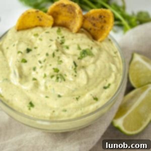 avocado lime crema in a glass bowl with limes and cilantro on side and chips in the crema.