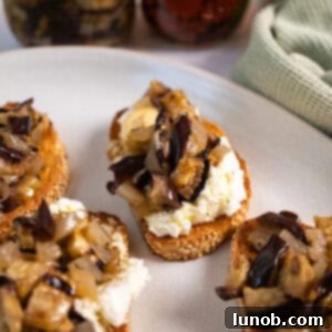 Tangy Marinated Eggplant and Onion 10 Marinated eggplant and onion on toast with ricotta.