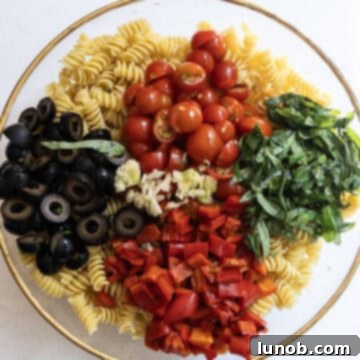 pasta with cherry tomatoes, olives, basil, roasted red peppers, and garlic on top but not mixed in.