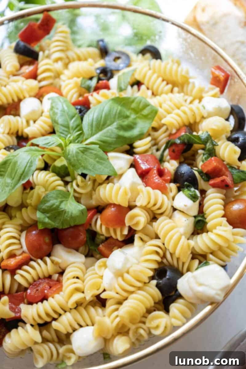 The Italian pasta salad in a bowl garnished with basil