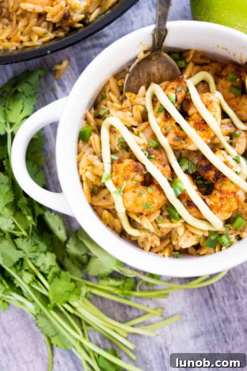 spicy shrimp and creamy cilantro lime orzo, garnished with fresh cilantro and avocado