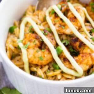 cast iron shrimp with orzo
