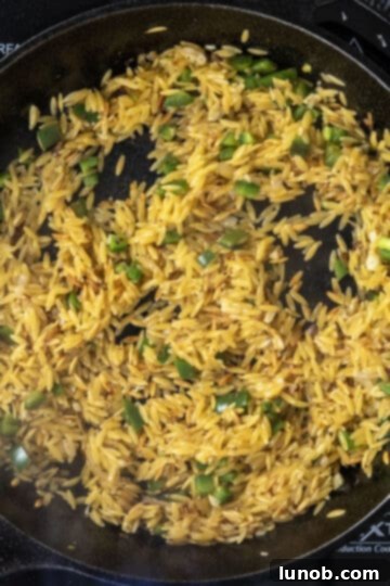 toasted orzo in cast iron pan, with white wine being absorbed