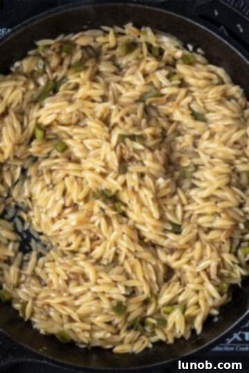 orzo after simmering in chicken broth for 15 minutes, plump and tender