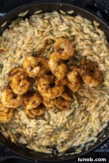 seared shrimp combined and arranged beautifully on top of the creamy cilantro lime orzo