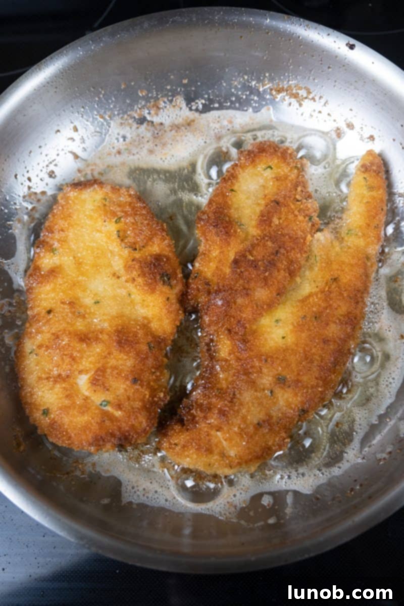 Golden Cutlets The Right Oil for Frying 8 Chicken cutlets frying in canola oil, showing some uneven browning.