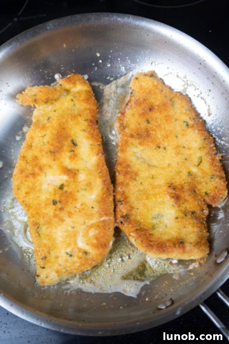 Golden Cutlets The Right Oil for Frying 9 Chicken cutlets frying in extra virgin olive oil, with good but not perfectly even color.