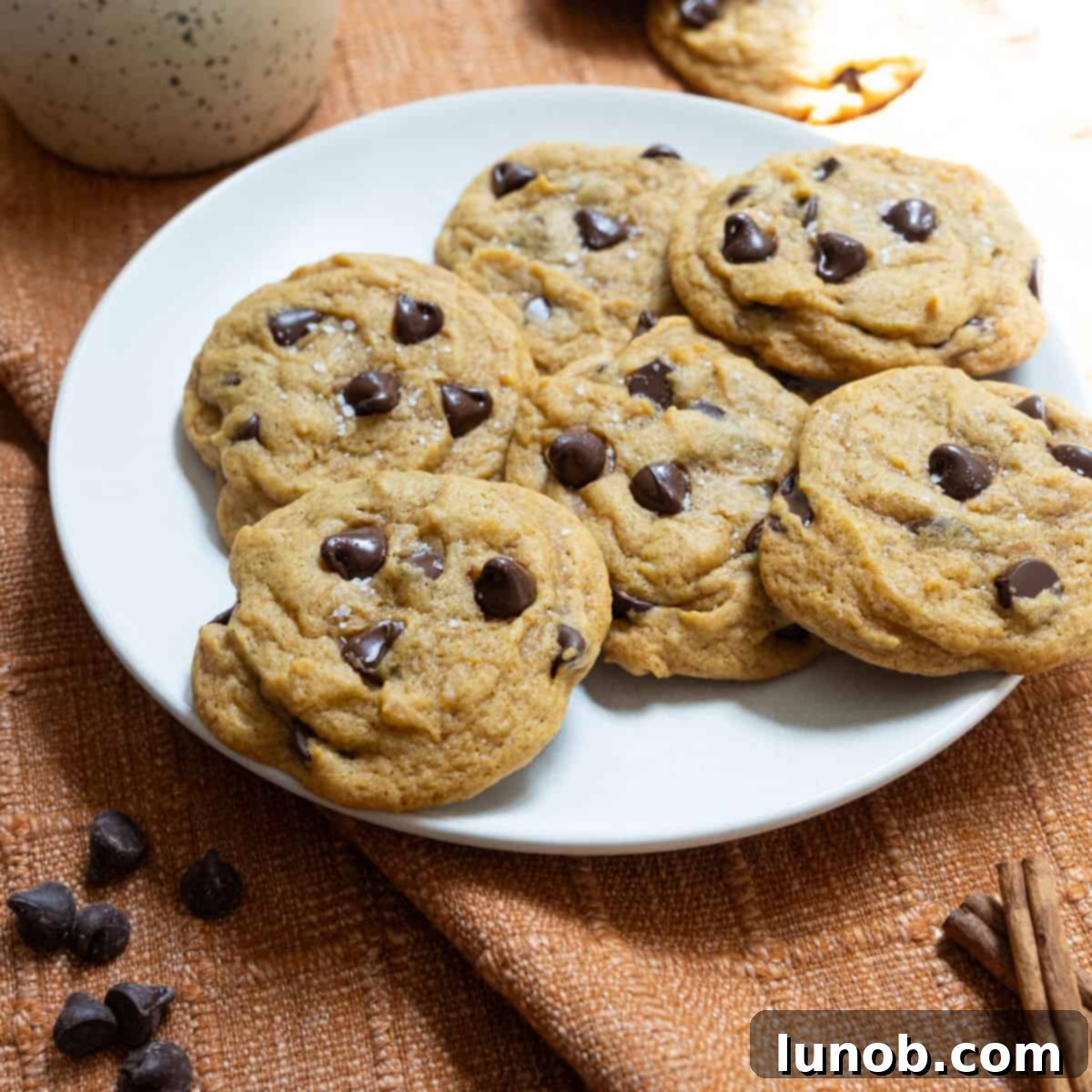 Irresistible Chewy Pumpkin Chocolate Chip Cookies 11 A beautifully arranged plate of freshly baked pumpkin chocolate chip cookies, ready to be enjoyed.