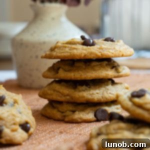 Irresistible Chewy Pumpkin Chocolate Chip Cookies 12 A delicious stack of chewy pumpkin chocolate chip cookies, ready to be eaten.