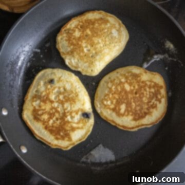 Pancakes flipped over on the frying pan.