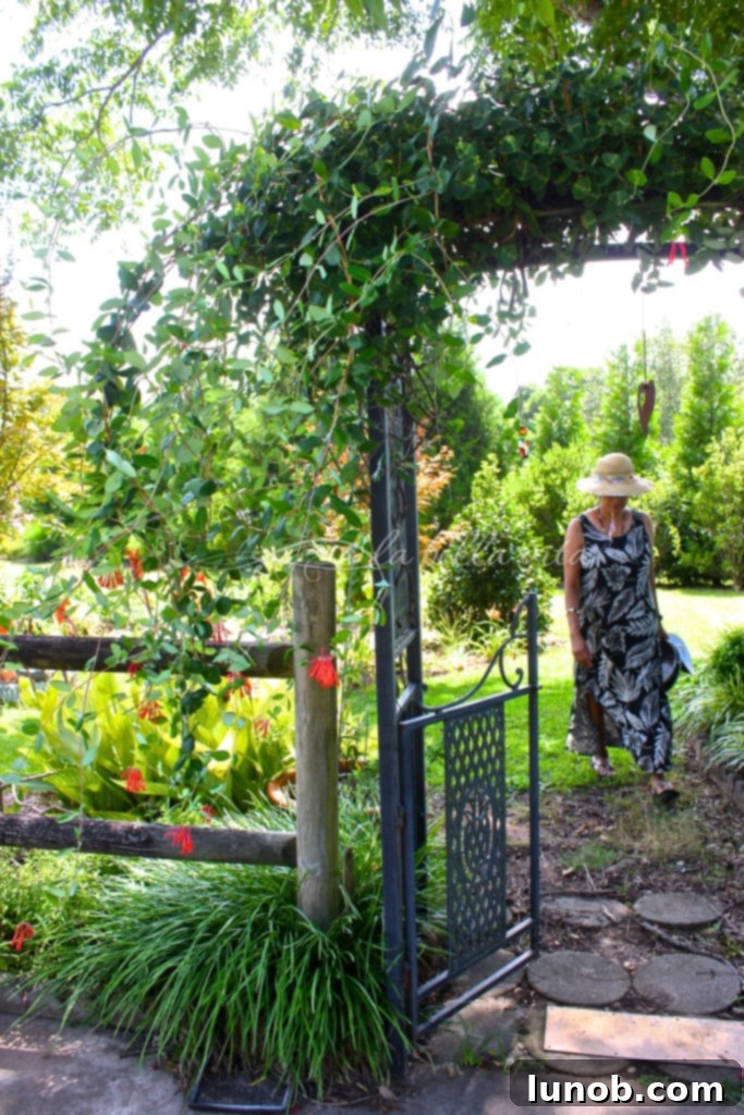 Hand holding a basket of freshly picked blueberries
