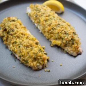 Lemon pistachio crusted snapper fillet on a plate