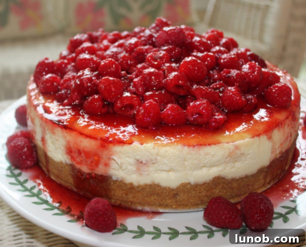 razcheezsunrum2011+copy