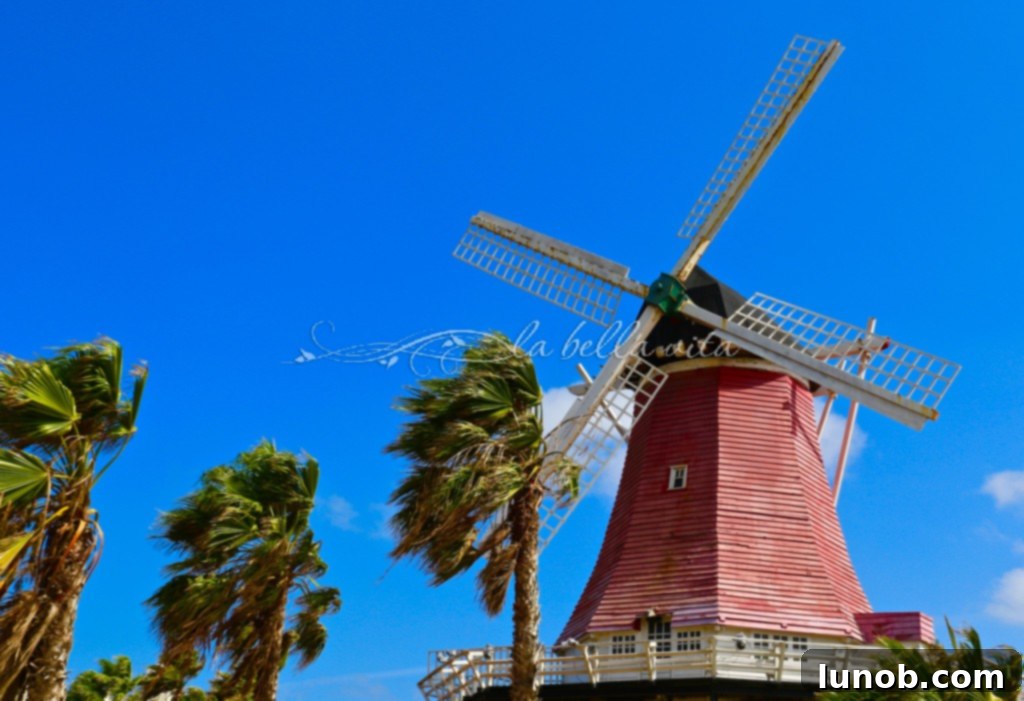 Aruba's Best Breakfasts: Dutch Pancakes 13 Diane's Dutch Pancake Place Aruba
