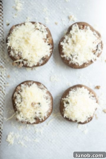 Gourmet Italian Stuffed Portobello Bake 7 stuffed mushrooms topped with cheese