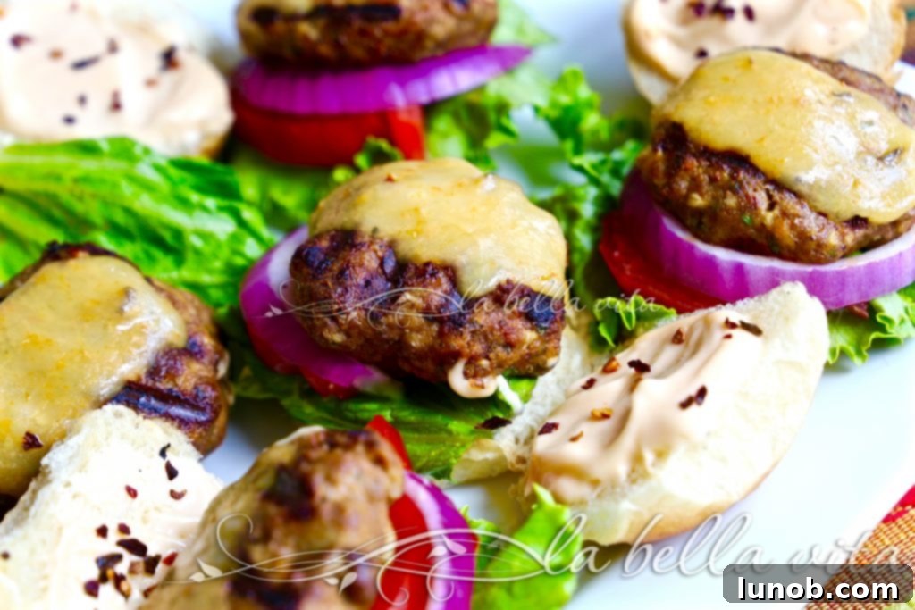 Jalapeno Cilantro Chili turkey Burgers with Habanero Cheddar