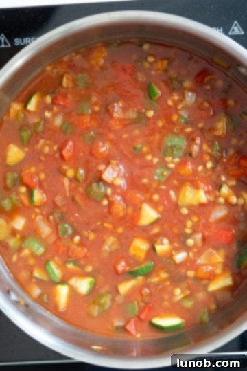 Wholesome Lentil Egg Breakfast 6 Crushed tomatoes and water poured over the lentils and vegetables in the pan