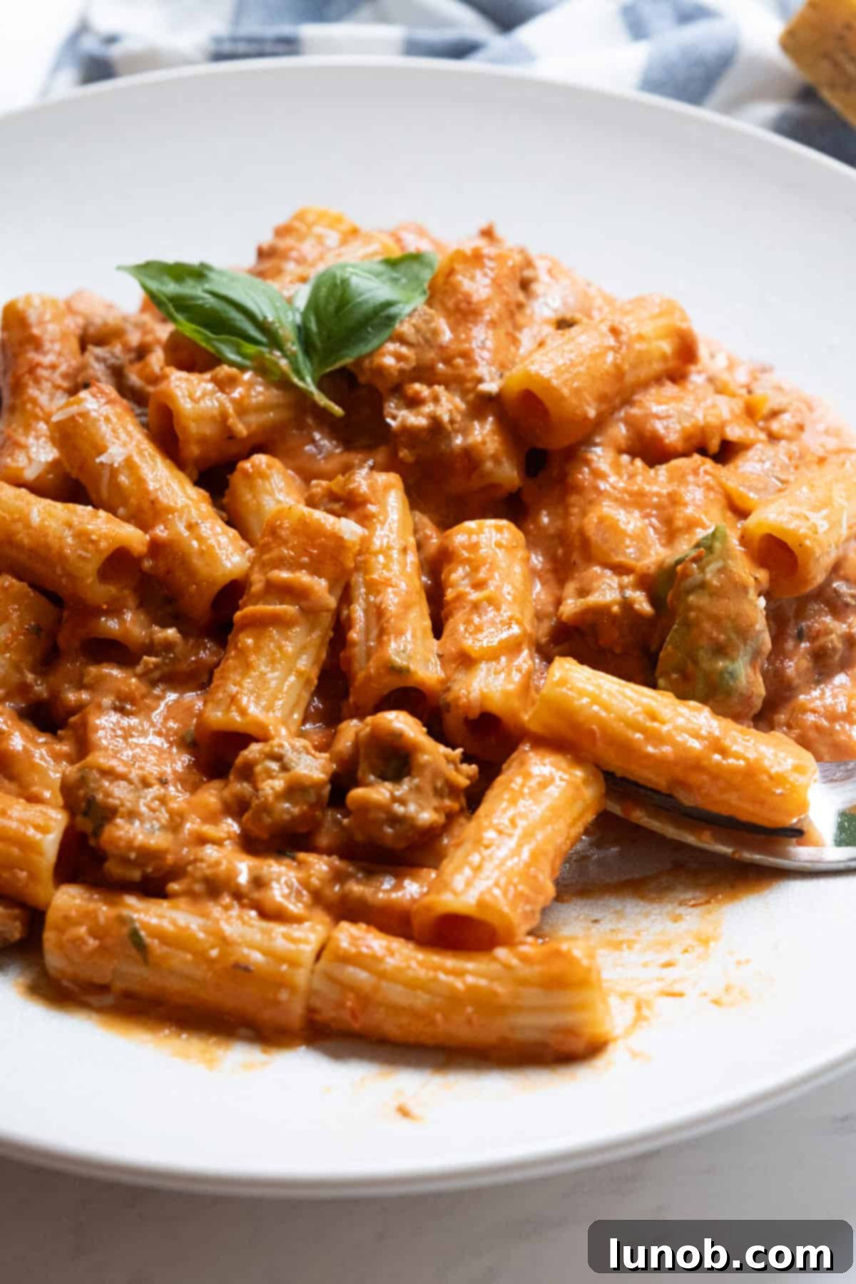 Italian pink sauce with sausage served over rigatoni pasta, topped with fresh parmesan and basil.