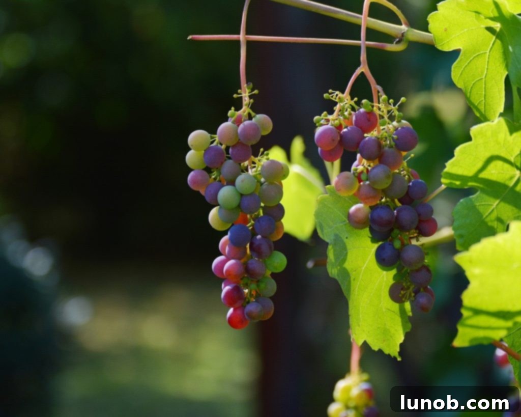 Chicken Cacciatore (Pollo alla Cacciatore) served in a bowl