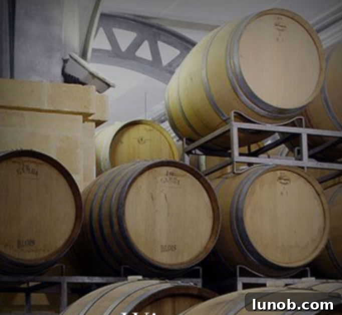 Wine barrels aging in a cellar at Stemmari