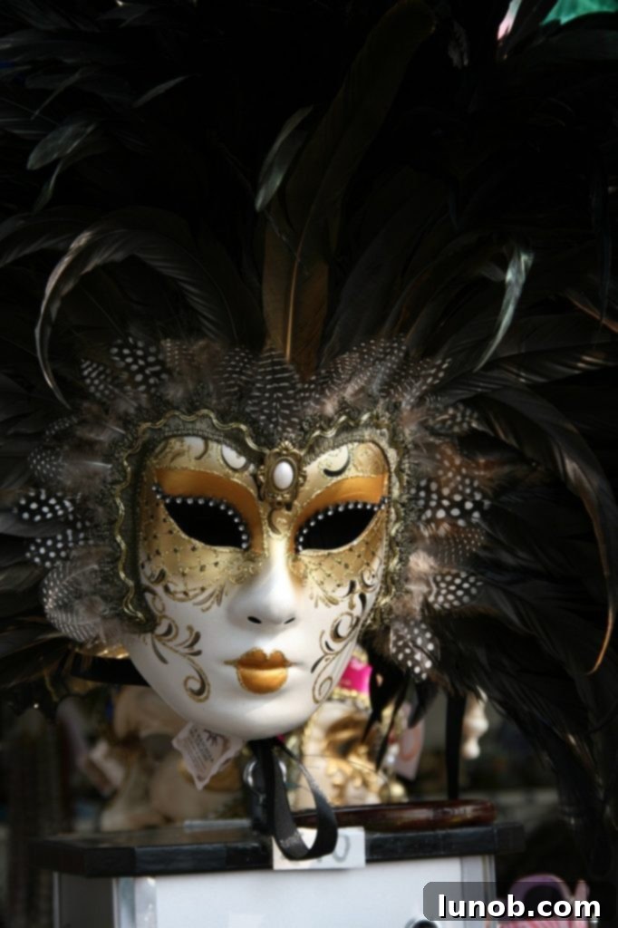 Exquisite Venetian Masks and Costumes for Carnevale Magic 7 beautiful venetian costumes masks in black and white